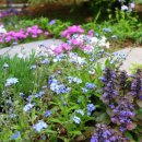 민국 행정사 이미지