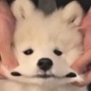 우리학원 네이버블로그