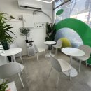 폴라니포케 정관점 이미지