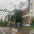 매원초등학교 앞 이미지