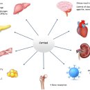 죽전동물병원 이미지