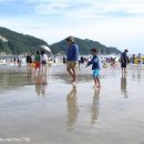 바다숲민박 이미지