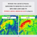 대신동물병원 이미지