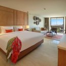 시아리아팜 이미지