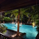 카페콩(cafe bean) 이미지