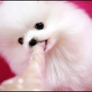 몽글몽글# 이미지