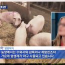 녹색흑염소(주) 이미지