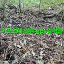 빵구네 이미지