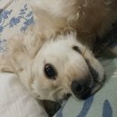 개네마을 이미지