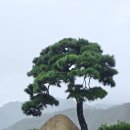 가야금테마공원 게스트하우스(기찬재)
