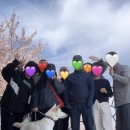 봄안에 네이버블로그