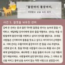 똥싼 강아지 네이버블로그