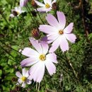 신암마을 이미지