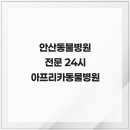 24시 아프리카동물병원 | 안산동물병원 전문 24시 아프리카동물병원