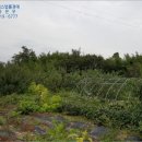 더과수원