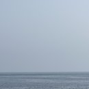 신도리아