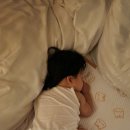 두메산골삼순이네과일 | 고성 델피노 조식 뷔페 할인 내돈내산 후기