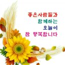아모레 카운셀러 이미지