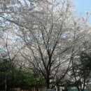 삼성산터널길 Daum카페