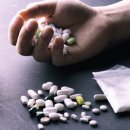 THE H모텔 이미지