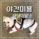 강아지 이발소 | 리얼후기 광주 남구 강아지 야간미용실 봉선동 애견미용 댕댕이발소