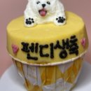 놀면멍하냥 이미지