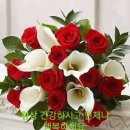 육삼 이미지
