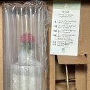 반려식물키우기 이미지