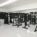 비디피트 이미지