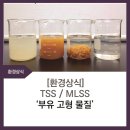 에닌주식회사 이미지