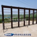 신의초등학교 이미지