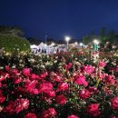 곡성-003 이미지