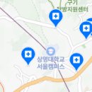 스템스치과의원 네이버블로그