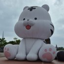 2024 뷰티풀 민트 라이프 후기 : 밴드를 핸드볼에 가둬두지 마!! 비 안 맞아서 좋긴 했어 아니 그런데!