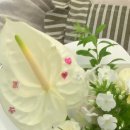 데이미 | 사당역 꽃집 힙하고 귀여운 감성꽃집 히포미 원데이클래스 후기