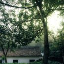 풀향기머무는집 | 중국 항저우, 아만파윤의 방식