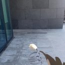 짱짱오락실 이미지
