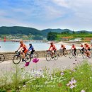 노량 해안도로길 이미지