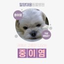 대웅동물병원 이미지