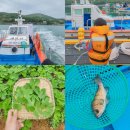 바다해펜션 | 여수 금오도 숙소 추천, 아이랑 낚시체험 가능한 해바람 바다낚시 펜션 재방문 후기