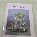 금대양 이미지