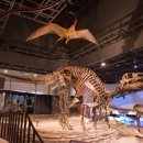 상하벌로 이미지