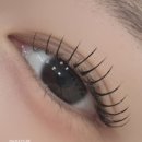아이오르