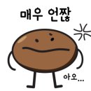 카페모조