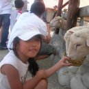 세현목장 이미지