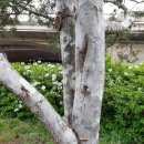 해피아트 이미지