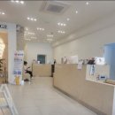 아이디펫 동물병원 | 부산동물병원/아이디펫동물병원/정보