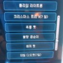 플라잉펫 이미지