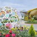 고양꽃전시관 컨퍼런스룸 이미지