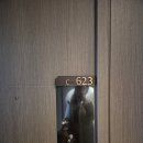 쏠비치 리조트 삼척 | 삼척 쏠비치 호텔 리조트 비교 후기｜ 호텔 1박 + 리조트 1박 내돈내산 솔직 리뷰